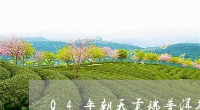 04年朝天贡瑞普洱茶/2023062374829