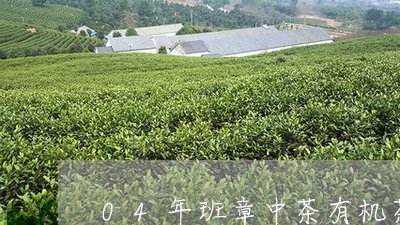 04年班章中茶有机茶/2023061150683