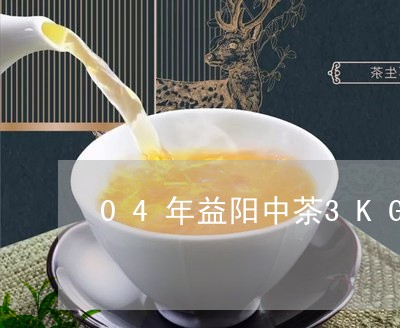 04年益阳中茶3KG茯砖/2023051151682