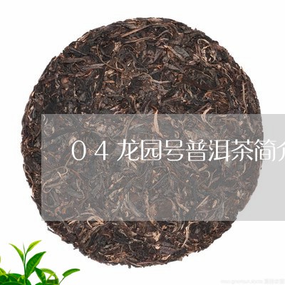 04龙园号普洱茶简介/2023080222716