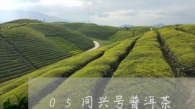 05同兴号普洱茶/2023120417171