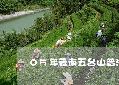 05年云南五台山普洱茶饼/2023051170713