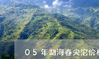 05年勐海春尖沱价格/2023092181406