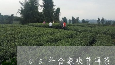 05年合家欢普洱茶/2023071006270