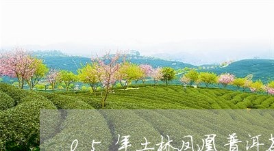 05年土林凤凰普洱茶/2023073063958