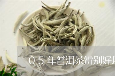 05年普洱茶辨别好坏图片/2023082894915