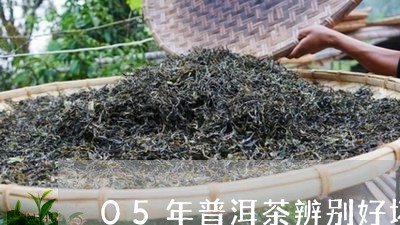 05年普洱茶辨别好坏图片/2023110481616