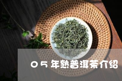 05年熟普洱茶介绍/2023120515160