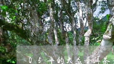 05年的大益普洱茶多少钱/2023051039480