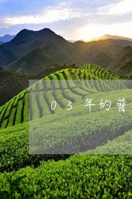 05年的普洱茶熟的饼/2023072344927