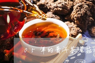 05年的普洱茶老菇坨/2023092727459