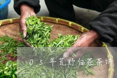 05年荒野白茶茶饼/2023071427271