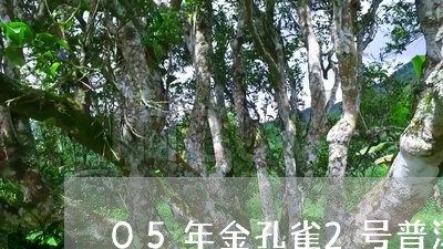 05年金孔雀2号普洱茶熟茶/2023082840895