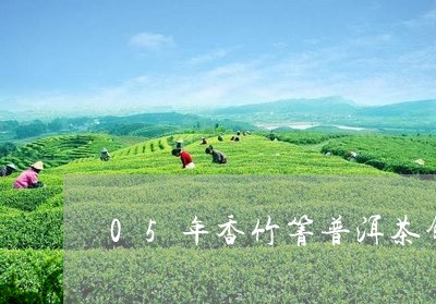 05年香竹箐普洱茶饼/2023062014937