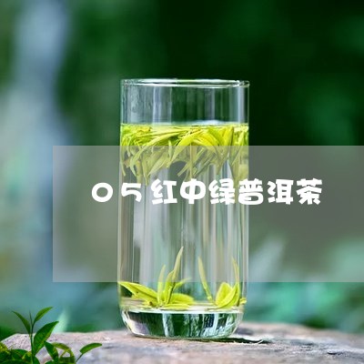 05红中绿普洱茶/2023120459573