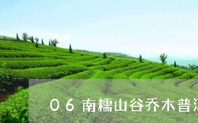 06南糯山谷乔木普洱茶/2023120769371