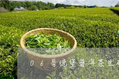 06哥德堡普洱茶生砖/2023092846258