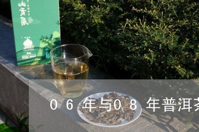 06年与08年普洱茶/2023062494047