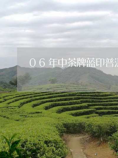 06年中茶牌蓝印普洱茶/2023081749582