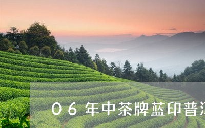 06年中茶牌蓝印普洱茶/2023102451483