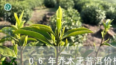 06年乔木王普洱价格/2023092447484