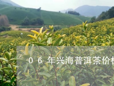 06年兴海普洱茶价格表/2023110595239