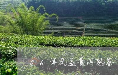 06年凤益普洱熟茶/2023042762837