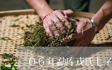 06年勐库戎氏七子饼145克熟茶/2023060405259