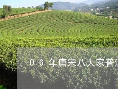 06年唐宋八大家普洱茶/2023110528364