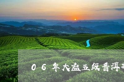 06年大益五级普洱砖茶价格/2023052716171