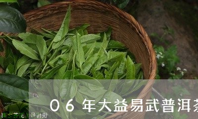 06年大益易武普洱茶/2023061774028