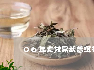 06年大益易武普洱茶/2023072324170