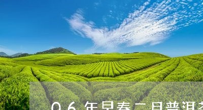 06年早春二月普洱茶/2023093085150