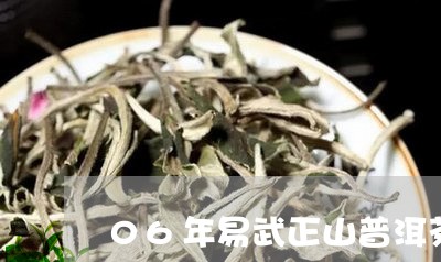 06年易武正山普洱茶/2023093006047