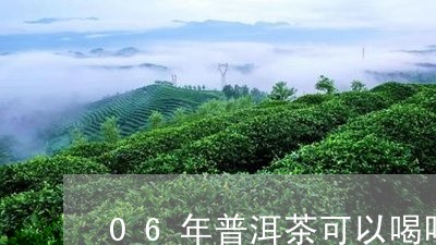 06年普洱茶可以喝吗/2023062204745