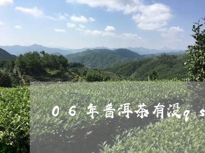 06年普洱茶有没qs/2023073113915