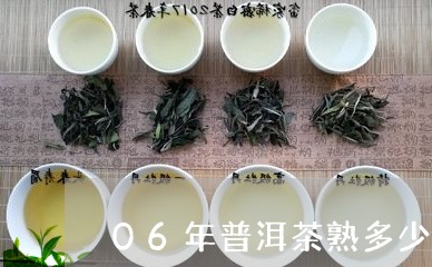 06年普洱茶熟多少钱/2023061727391