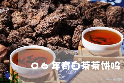 06年有白茶茶饼吗/2023071372493