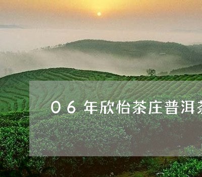 06年欣怡茶庄普洱茶/2023073114737