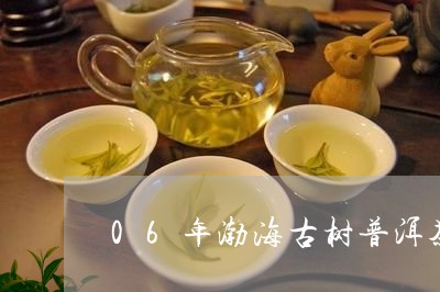 06年渤海古树普洱茶/2023062109372