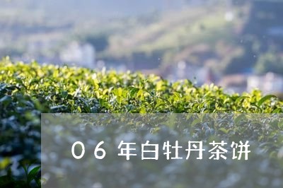 06年白牡丹茶饼/2023090649573