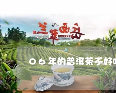 06年的普洱茶不好吗/2023062173036