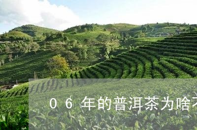 06年的普洱茶为啥不太好/2023110118592