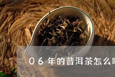 06年的普洱茶怎么喝/2023120701414