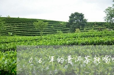 06年的普洱茶能喝吗/2023092769480