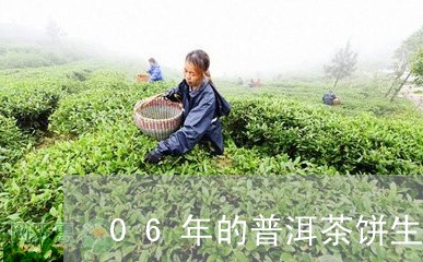 06年的普洱茶饼生茶值多少钱/2023053008572