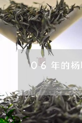 06年的杨聘号普洱茶/2023072320705