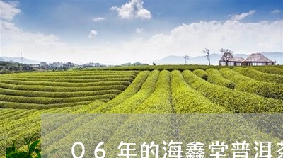 06年的海鑫堂普洱茶/2023092990725