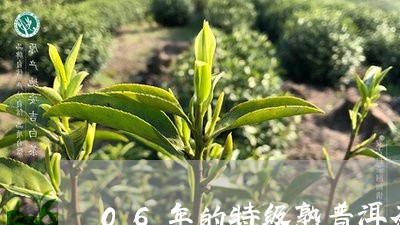 06年的特级熟普洱茶/2023062342526