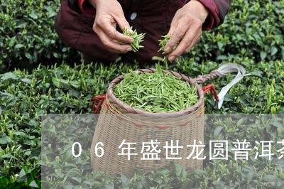 06年盛世龙圆普洱茶/2023062293735